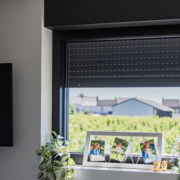 Rolluik en screen aan de zuidkant voorkomen oververhitting